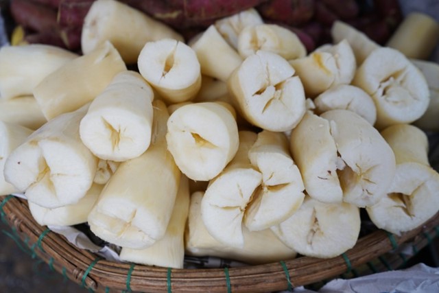 Xuất khẩu sắn năm 2025 tăng trưởng