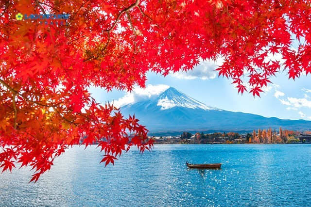 Những nhóm mặt hàng nhập khẩu từ Nhật Bản năm 2025