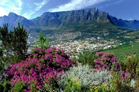 Những nhóm mặt hàng nhập khẩu từ Canada trong 2 tháng đầu năm 2026