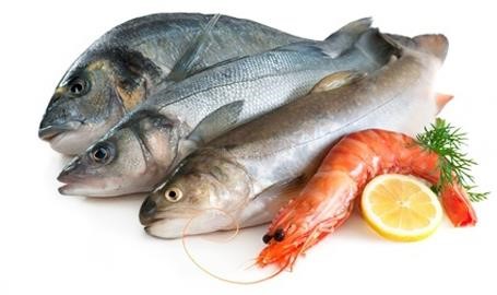 Hỗ trợ thu mua và tiêu hủy hải sản không đạt chất lượng