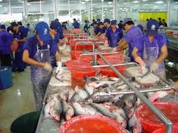 Giá thủy sản tại một số tỉnh tuần đến 26/8/2016