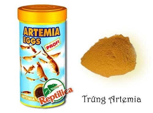 Giảm thuế nhập khẩu mặt hàng trứng Artermia xuống 0%