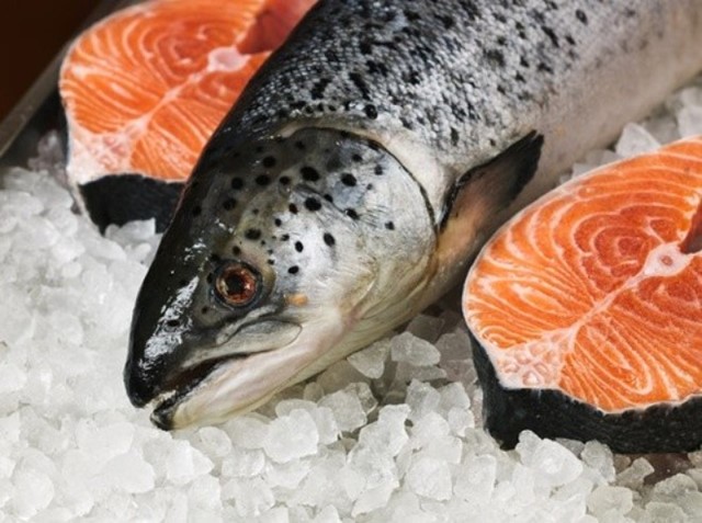 Dự báo giá cá hồi sẽ tăng trong  vòng 2 năm tới