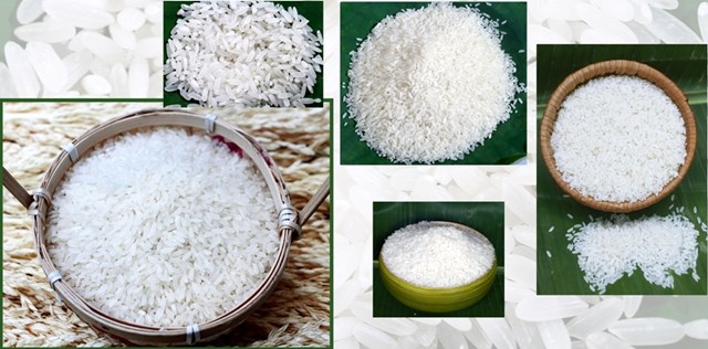 Xuất khẩu gạo liên tục sụt giảm 