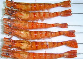 Giá thủy sản tại một số tỉnh tuần đến 28/10/2016