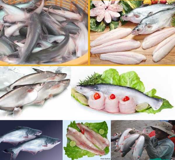 Giá thủy sản tại một số tỉnh tuần đến 10/12/2016