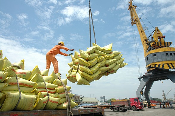 Xuất khẩu gạo liên tiếp sụt giảm