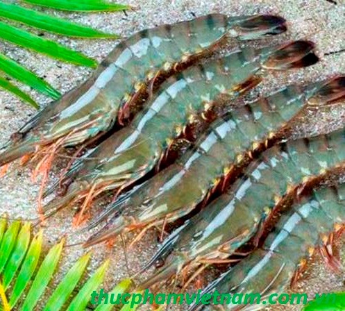 Tổng sản lượng thủy sản 6 tháng đạt 3,328 triệu tấn, tăng 4,2% so cùng kỳ