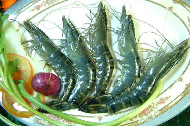 Xuất khẩu tôm 6 tháng đầu năm 2017 