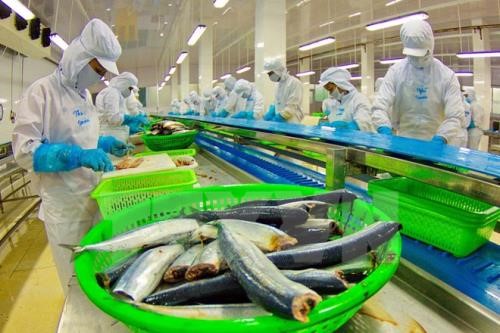 Xuất khẩu cá tra của Việt Nam đi Mỹ gặp khó
