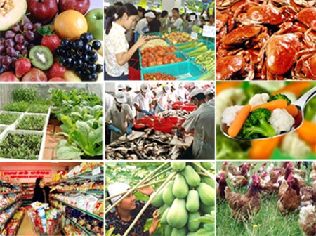 Xuất khẩu các mặt hàng nông sản chính ước đạt 10,89 tỷ USD