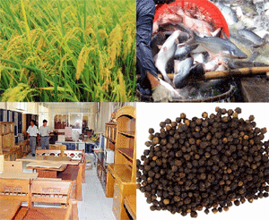 Xuất khẩu nông lâm thủy sản thu về cho Việt Nam 23,66 tỷ USD