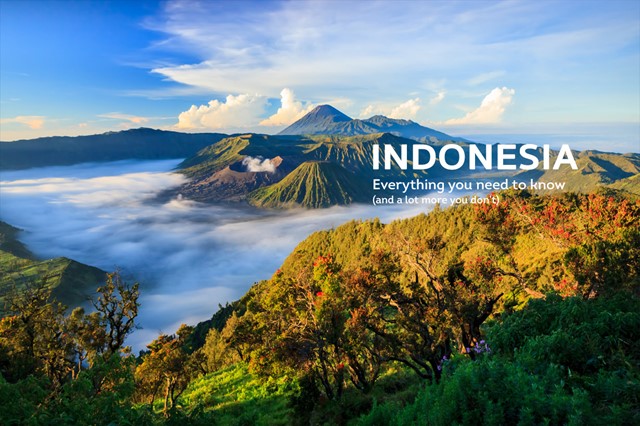 Hàng hóa nhập khẩu từ thị trường Indonesia tăng mạnh  