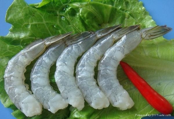 Tôm Việt tăng trưởng mạnh tại thị trường châu Âu