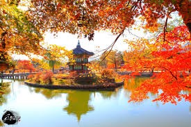 Xuất khẩu sang Hàn Quốc 9 tháng đầu năm và những điều cần biết 