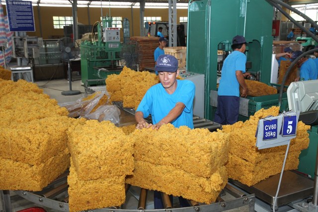 Khách hàng Algeria muốn nhập khẩu nguyên liệu cao su Việt Nam