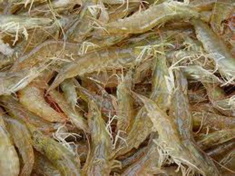 Phấn đấu sản xuất thủy sản tăng 4,5 - 5%/năm giai đoạn 2017-2020