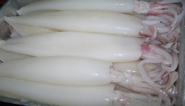 Xuất khẩu mực, bạch tuộc sang Trung Quốc tăng mạnh nhất