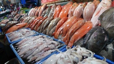 Xuất khẩu thủy sản 11 tháng tăng gần 20% kim ngạch