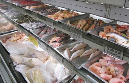 Kiểm soát chặt các lô hàng thực phẩm quá cảnh bị nhiễm Salmonella Agona