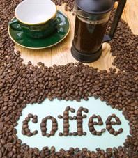 Xuất khẩu cà phê sụt giảm ở hầu hết các thị trường
