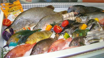 Thủy sản nhập khẩu về Việt Nam ngày càng tăng