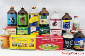 Nông sản Việt vào Hàn Quốc phải kiểm tra 370 loại thuốc bảo vệ thực vật