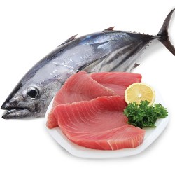 14 nước Trung Đông nhập khẩu cá ngừ của Việt Nam