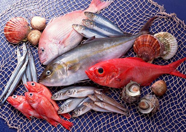 Thị trường cung cấp thủy sản cho Việt Nam 11 tháng đầu năm 2018