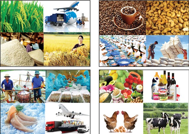 13 sản phẩm nông nghiệp chủ lực quốc gia