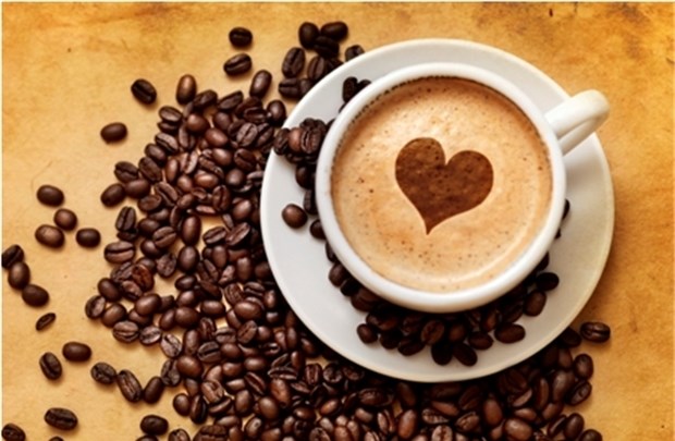 Giá cà phê ngày 11/4/2019 phục hồi nhẹ 