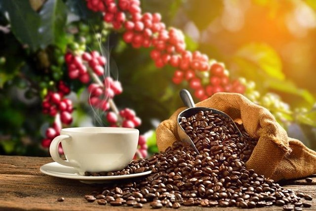 Xuất khẩu cà phê 4 tháng đầu năm giảm cả lượng và kim ngạch