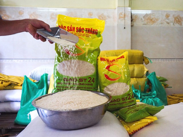 Giá lúa, gạo tuần đến 8/12/2019 tăng 