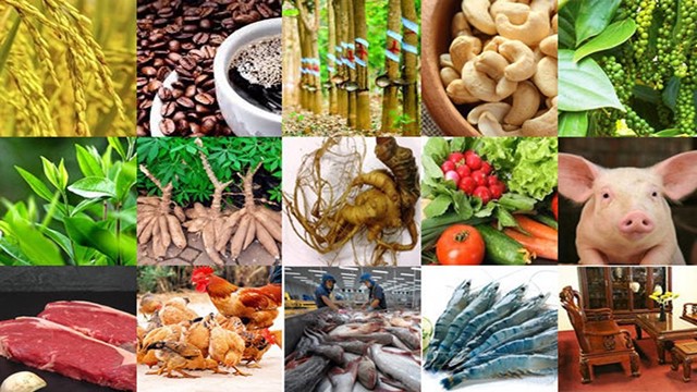 Quí I/2020 nông, lâm, thủy sản xuất siêu hơn 3 tỉ USD giữa đại dịch COVID-19 