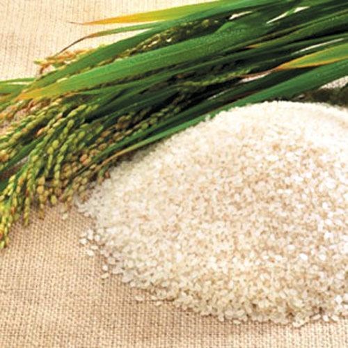 Giá gạo xuất khẩu Việt Nam tăng lên mức cao nhất trong gần 16 tháng qua