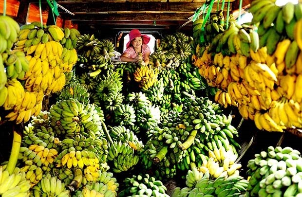 Rau, quả tươi tìm đường vào Thái