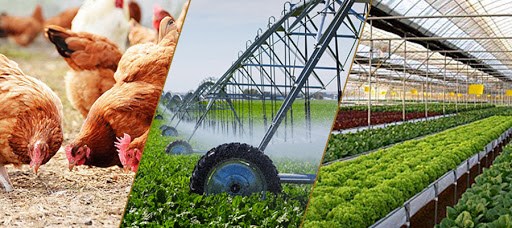 Ngành nông nghiệp được dự báo hưởng lợi lớn nhất từ Hiệp định EVFTA