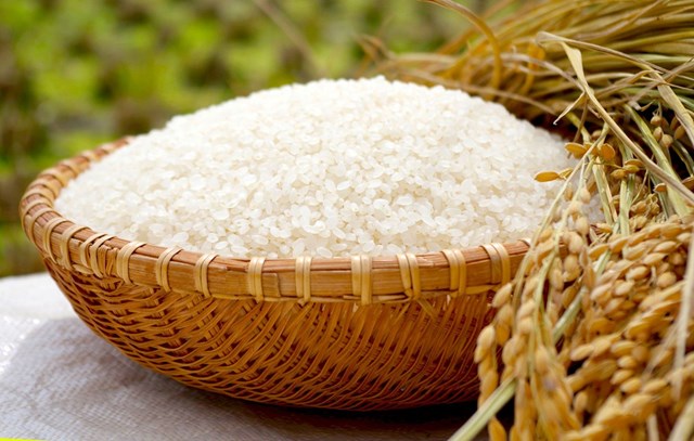 Giá lúa gạo ngày 29/5/2020 ít thay đổi