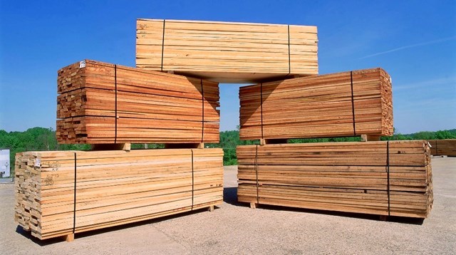 Thị trường chủ yếu cung cấp gỗ, sản phẩm gỗ cho VN 6 tháng đầu năm 2020