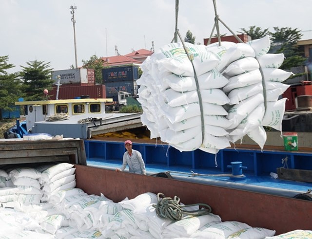 Giá gạo Việt tăng lên mức cao nhất trong 9 năm