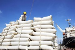 Thị trường xuất khẩu gạo 10 tháng đầu năm 2020