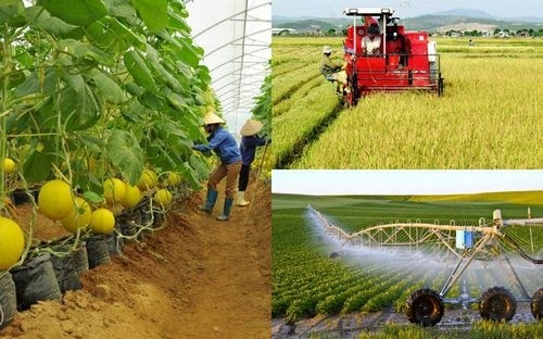 Thúc tái cơ cấu, nông nghiệp Việt muốn tăng xuất khẩu nông sản 5%/năm