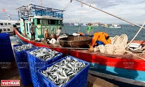 Xuất khẩu thủy sản sang các nước CPTPP tăng mạnh