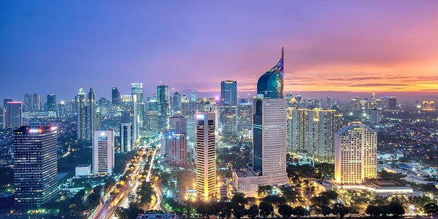 Năm 2020 Việt Nam nhập siêu từ Indonesia gần 2,56 tỷ USD