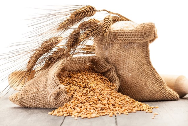 Trên 70% lượng lúa mì nhập khẩu về Việt Nam có xuất xứ từ Australia 
