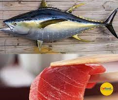  EU giảm nhập khẩu cá ngừ đóng hộp trong quý 1/2021