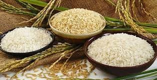 Giá gạo của Ấn Độ giảm xuống mức thấp trong nhiều năm