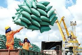 Thị trường xuất khẩu gạo 8 tháng năm 2021 