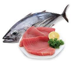 Xuất khẩu cá ngừ sang Trung Quốc tăng cao