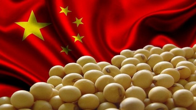 Nhập khẩu đậu tương của Trung Quốc tháng 10/2021 giảm